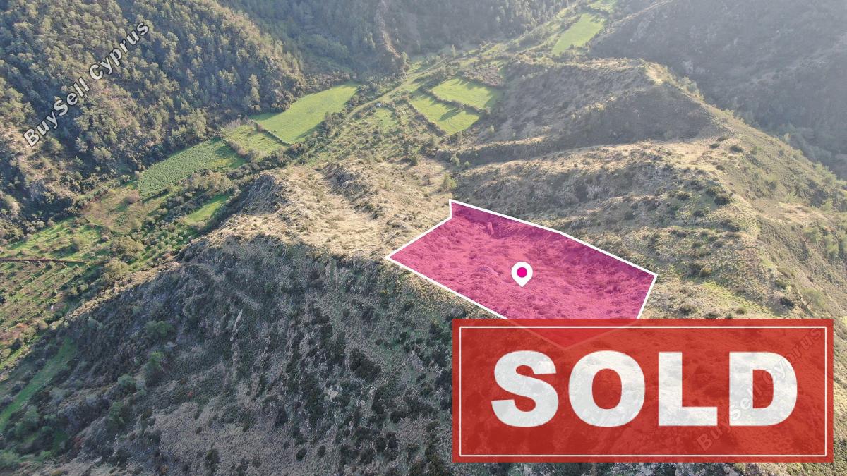 land sold pigenia nicosia 1298506 image 2884927