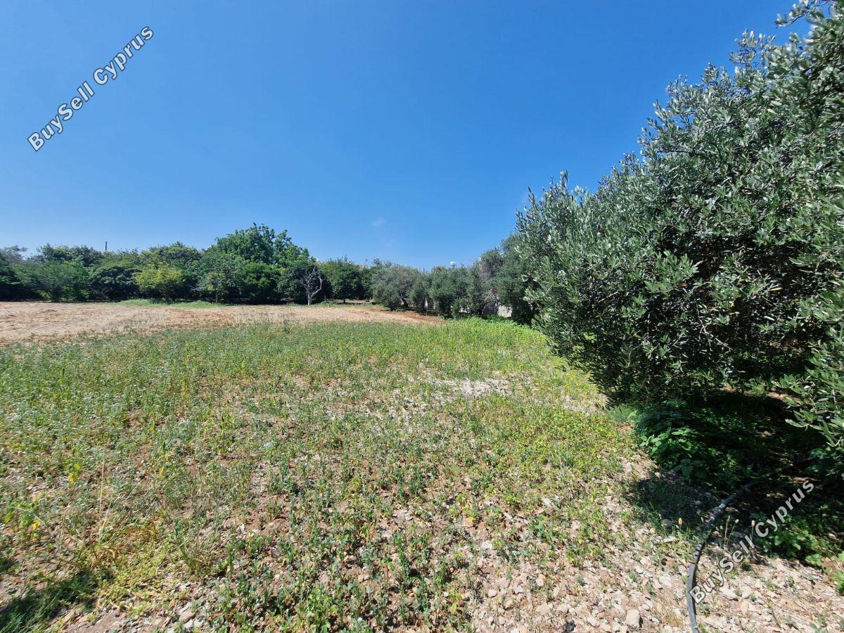 plot for sale emba paphos 1827506 image 6425662
