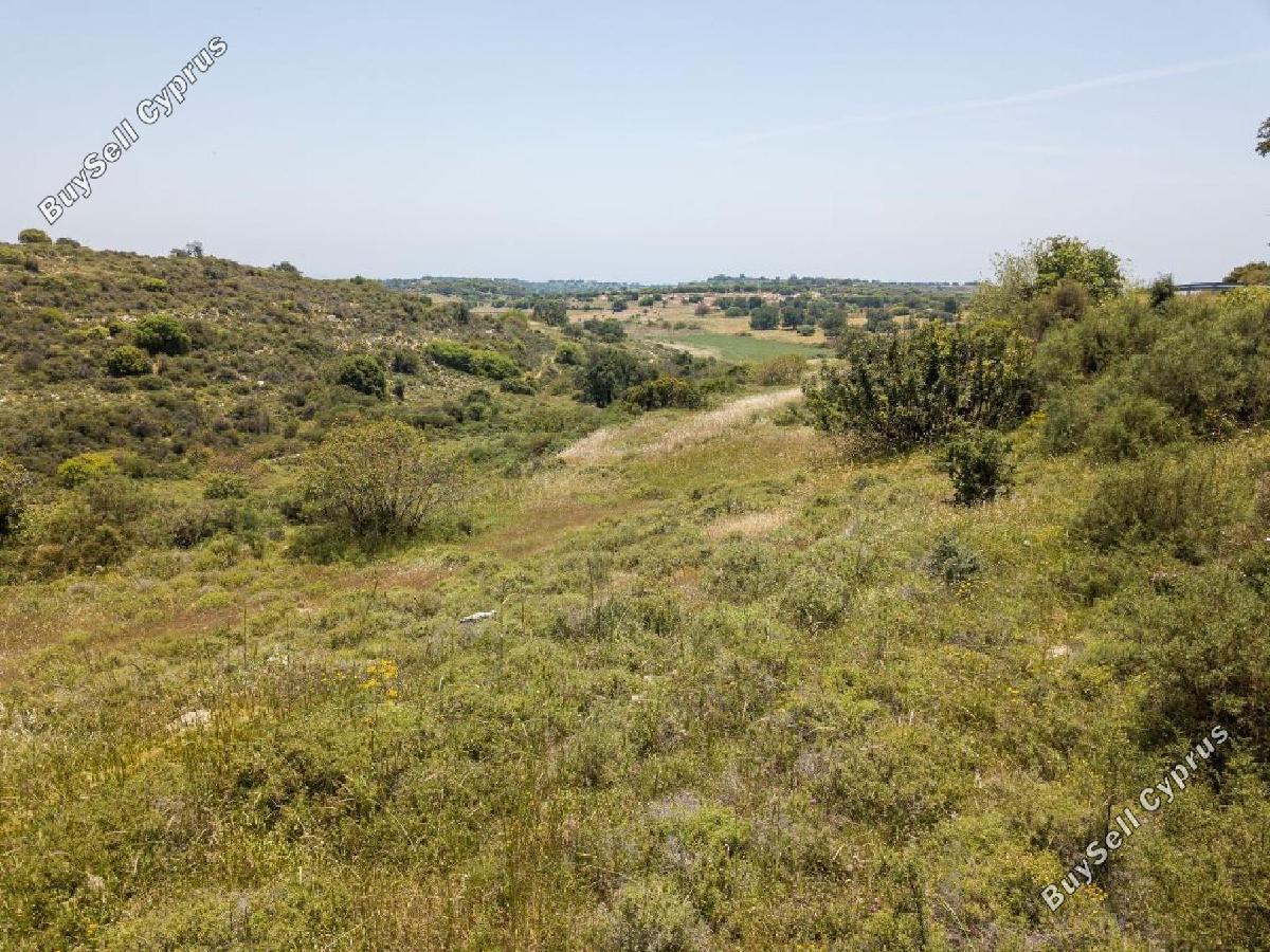 land for sale pachna limassol 1761606 image 16234469
