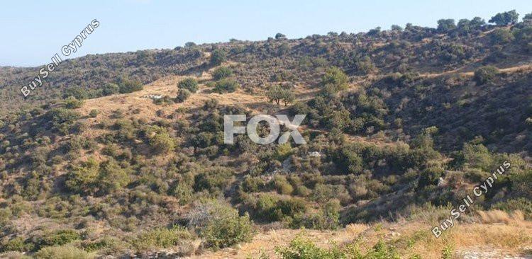 land for sale pissouri limassol 1146606 image 5523618