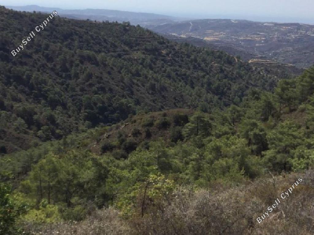 land for sale vavatsinia larnaca 1077606 image 1261642
