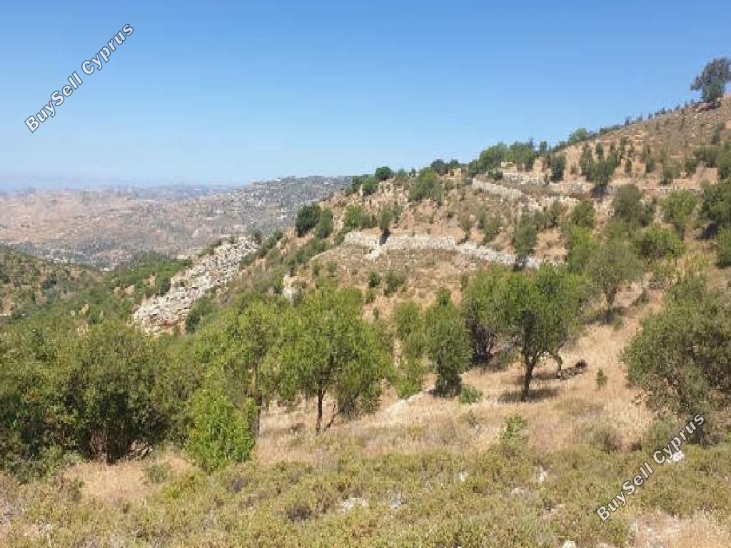 10118 SQM Land for sale in Dora, Limassol 15602067