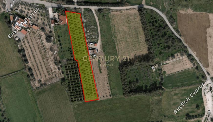 3240 SQM Plot for sale in Kolossi, Limassol 16588748