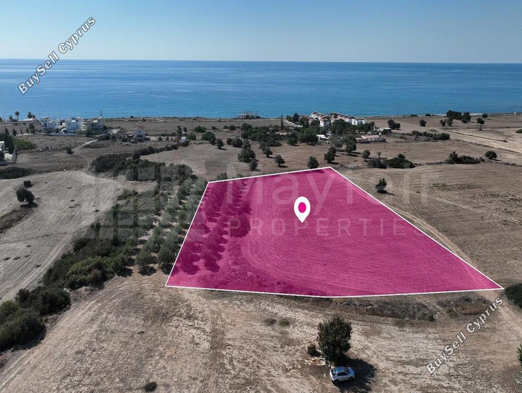 land for sale agios theodoros larnacas larnaca 7872706 image 13297772