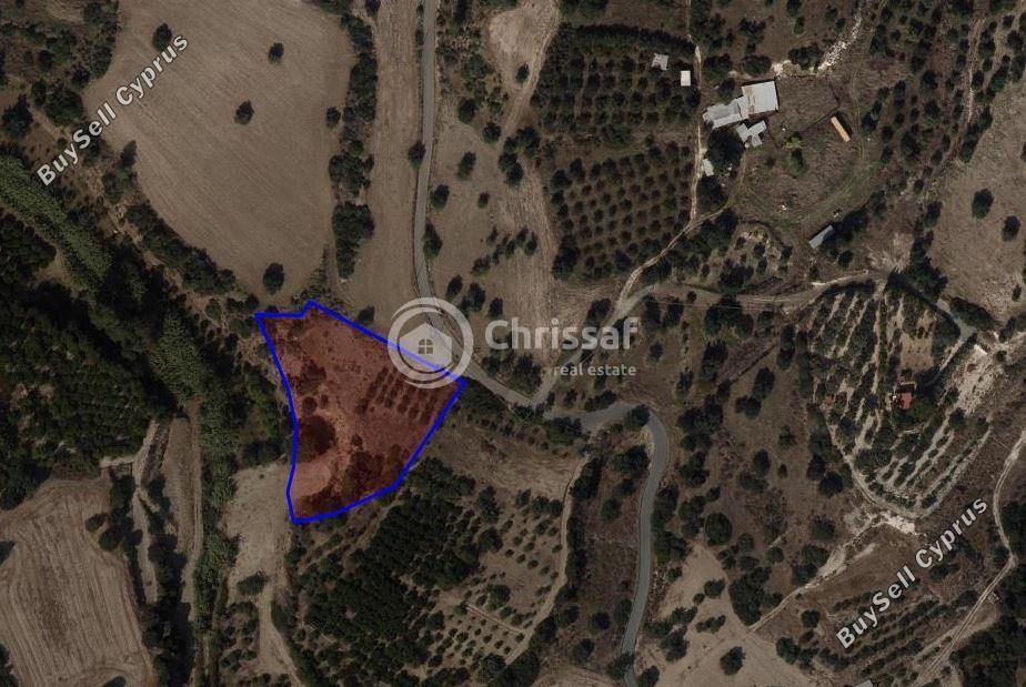land for sale kalavasos larnaca 1658706 image 5847251