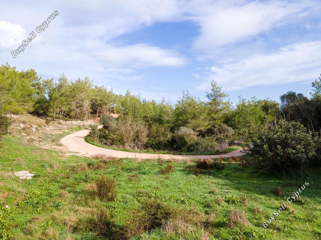 land for sale neo chorio paphos 822706 image 3383057