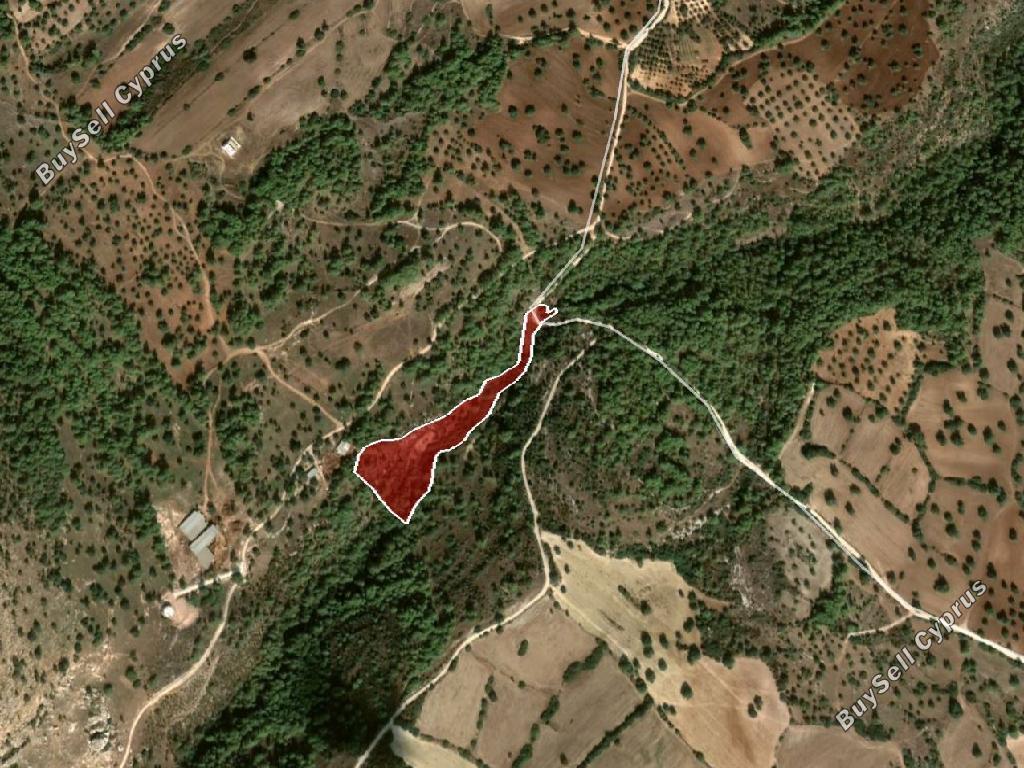land for sale neo chorio paphos 822706 image 3403957