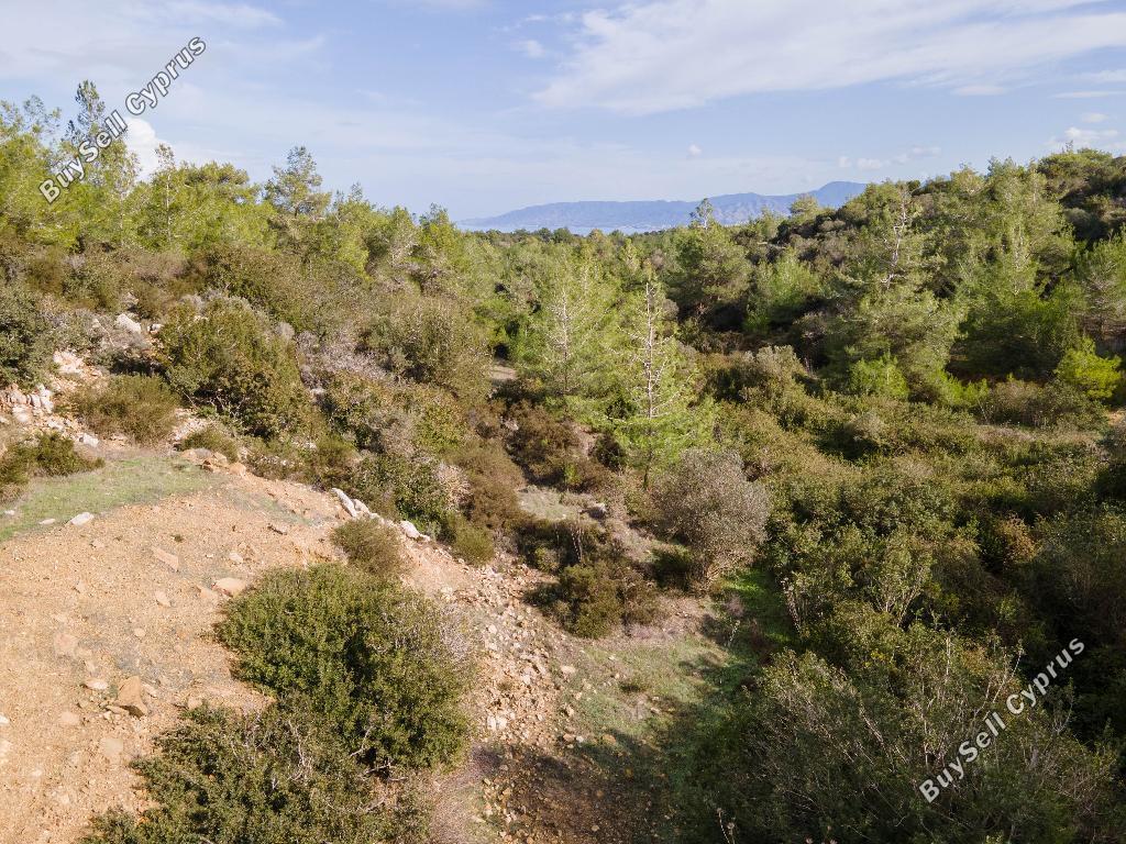 land for sale neo chorio paphos 822706 image 3403959