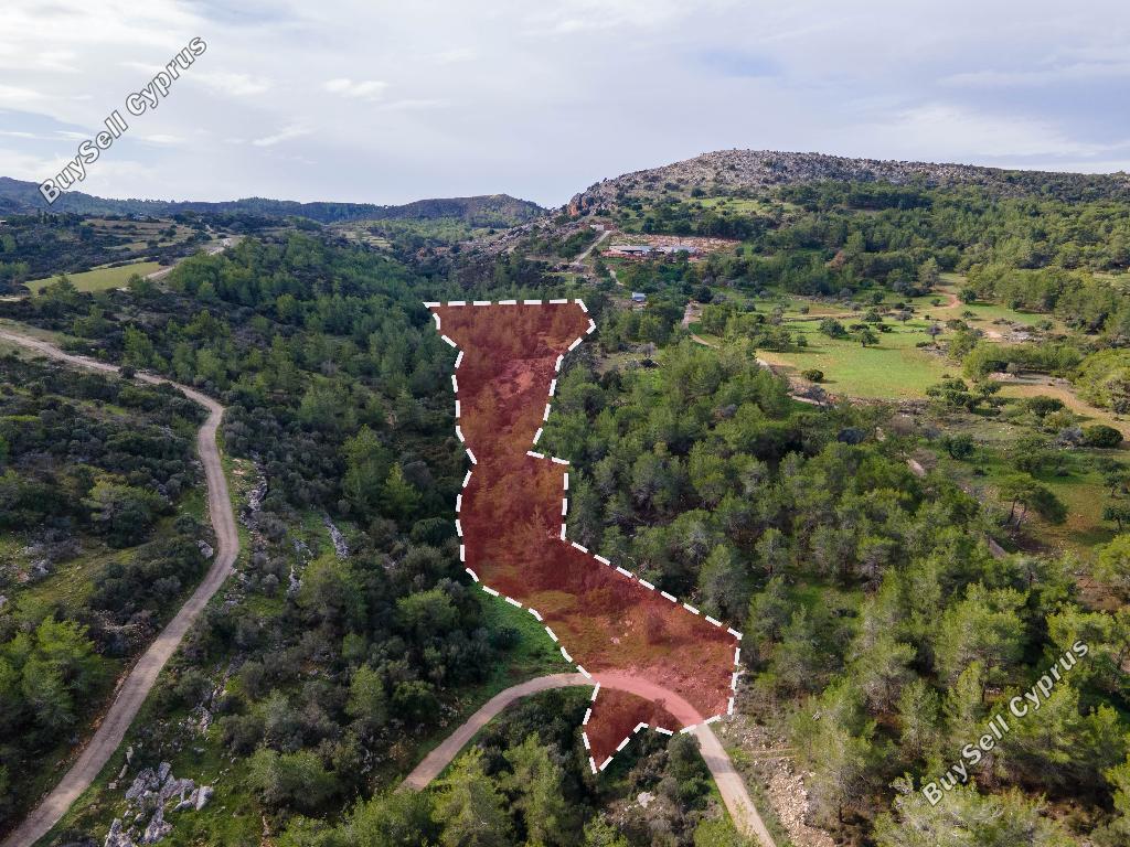 land for sale neo chorio paphos 822706 image 3403960