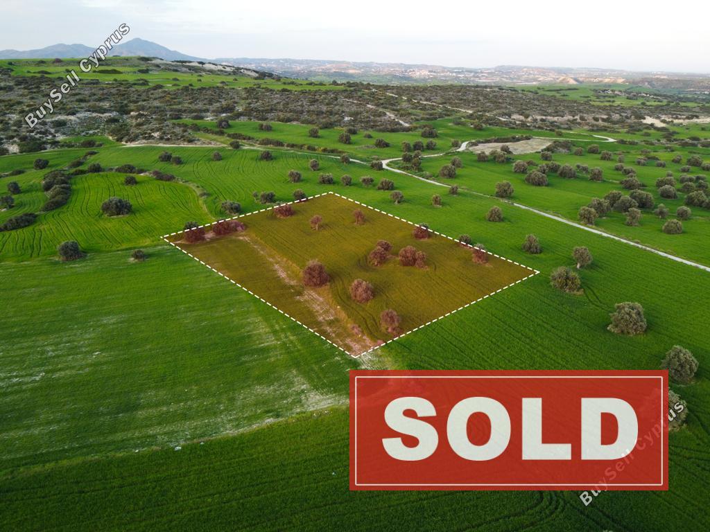 land sold agios theodoros larnacas larnaca 1016706 image 1042960