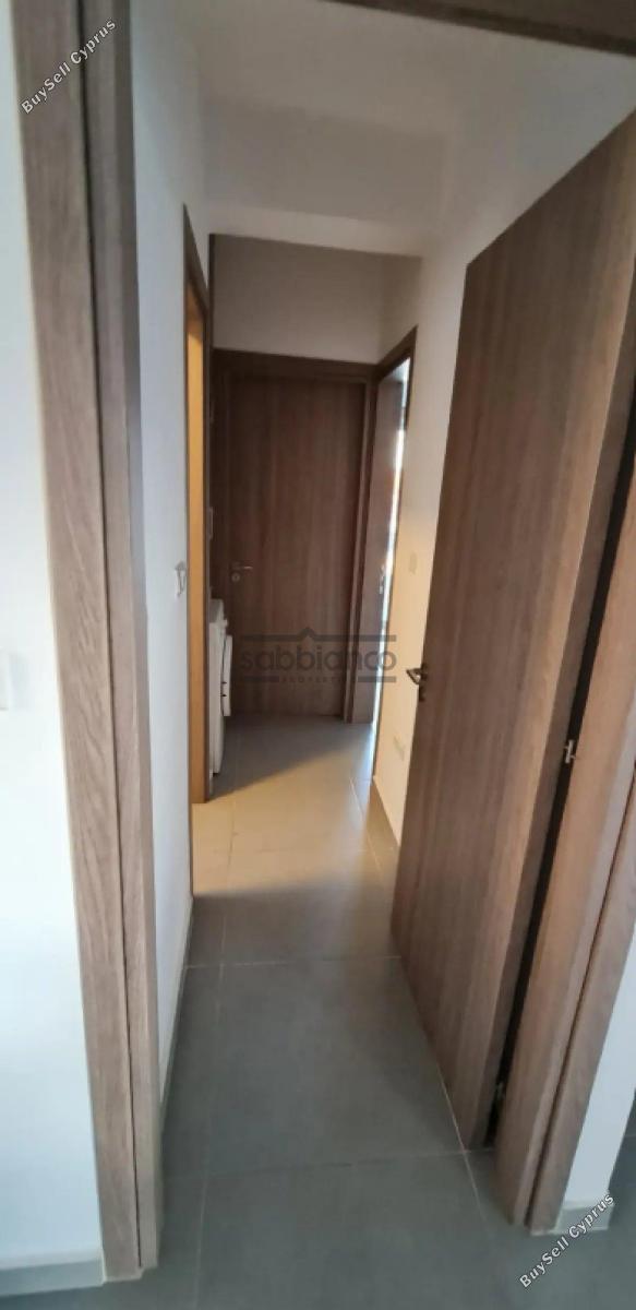 2 bedroom apartment for rent apostolos andreas limassol limassol 8752806 image 16505731