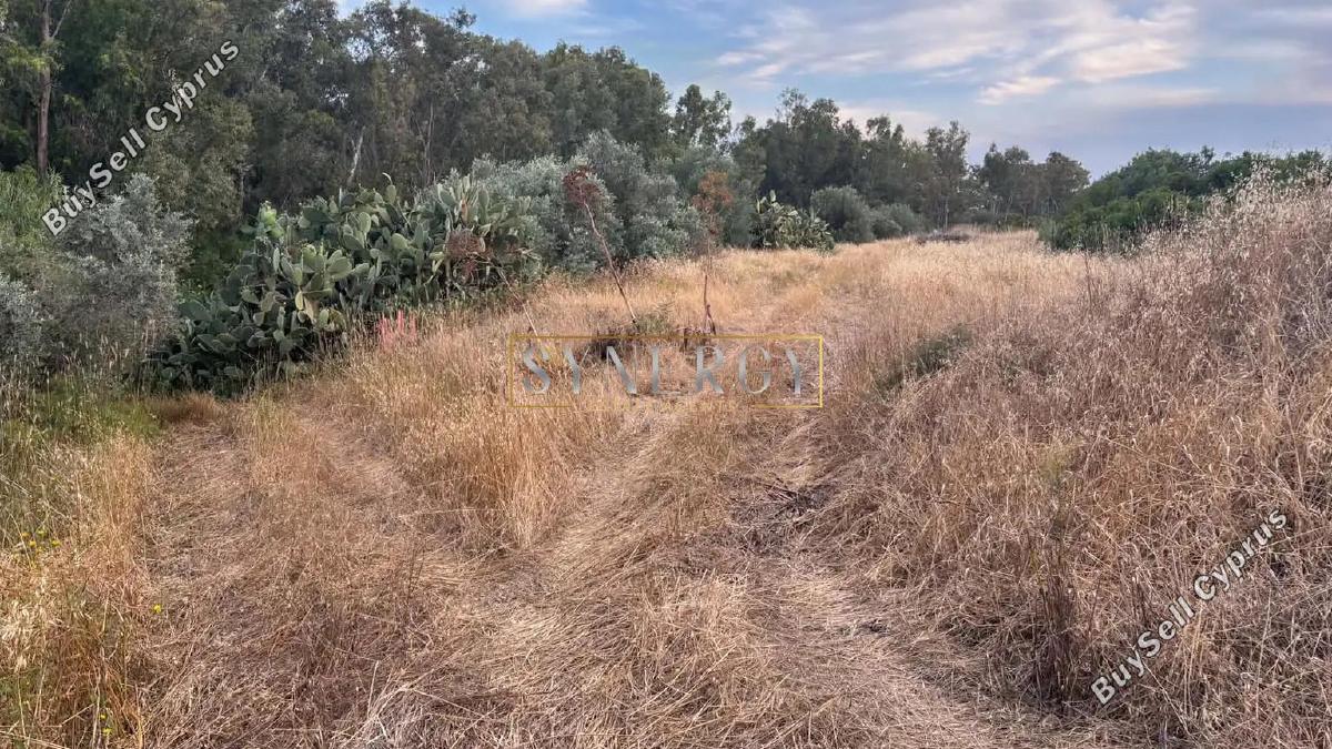 land for sale monagroulli limassol 9004806 image 18363163