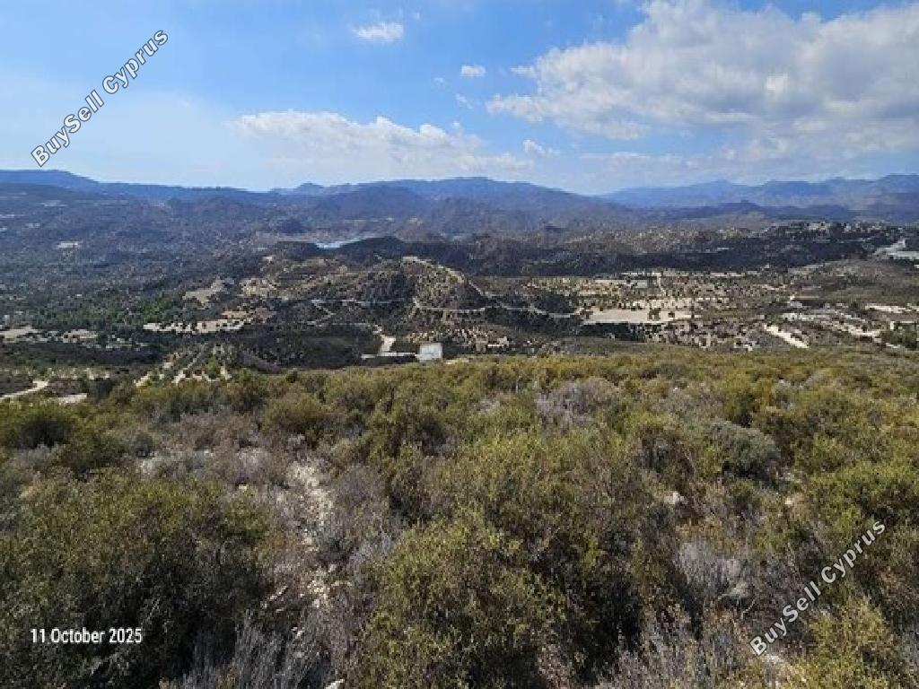land for sale ora larnaca 945806 image 17253562