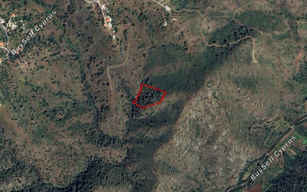land for sale pigenia nicosia 1439806 image 15664148