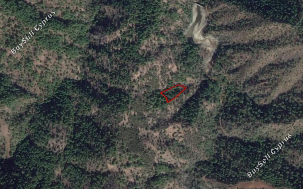 land for sale pigenia nicosia 829806 image 15664137