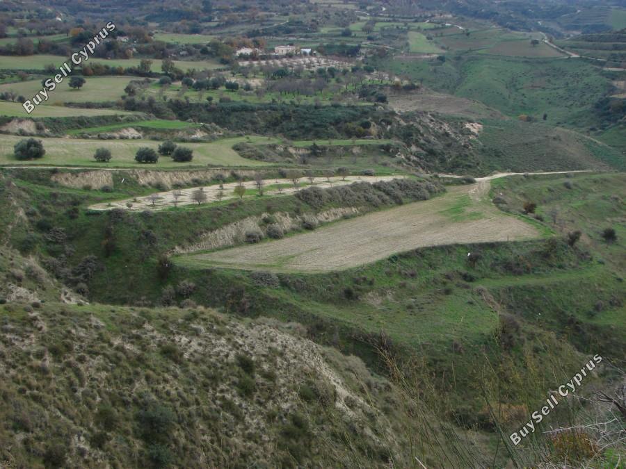 land for sale simou paphos 7733806 image 15327907