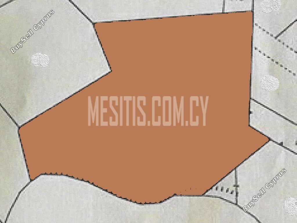 plot for sale palodeia limassol 976906 image 10561160