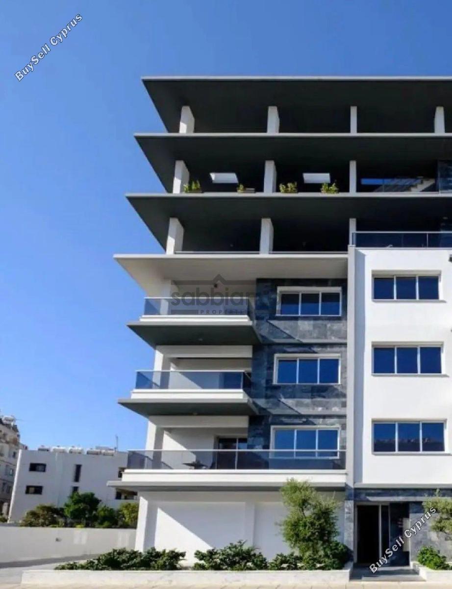 2 bedroom apartment for rent sotiros agios ioannis larnaca larnaca 8748016 image 16459784