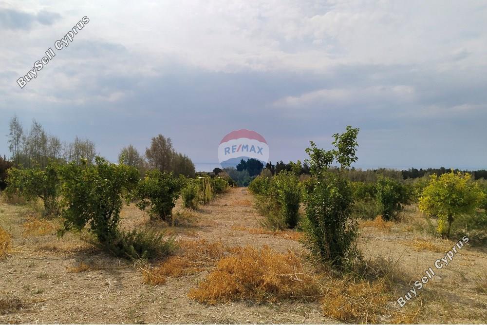 land for sale paphos municipality paphos 7949016 image 15496734