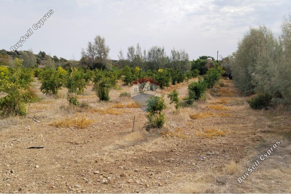 land for sale paphos municipality paphos 7949016 image 15496736