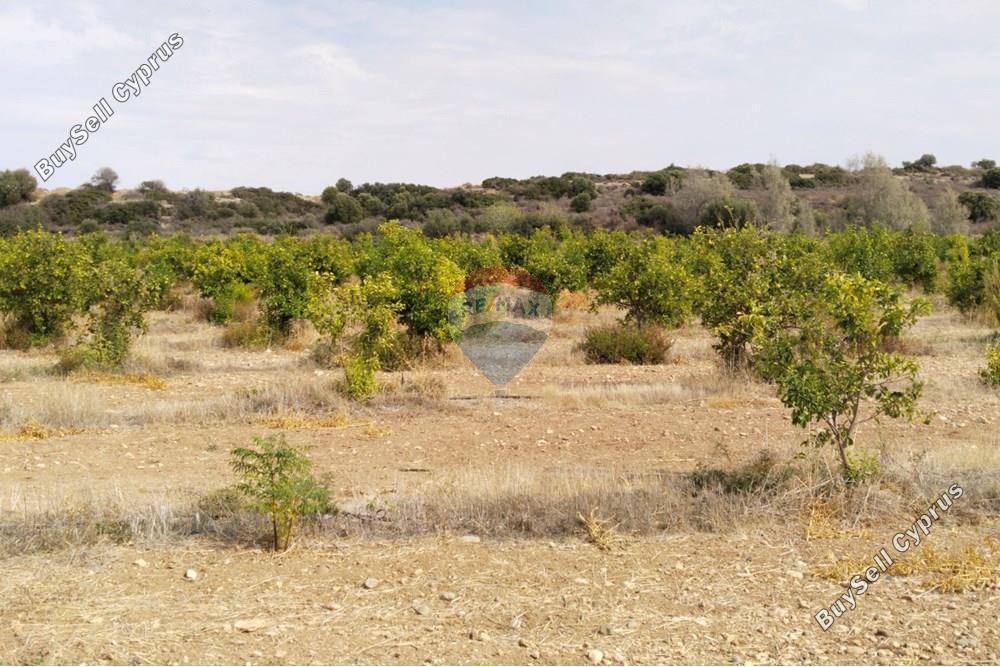 land for sale paphos municipality paphos 7949016 image 16417410
