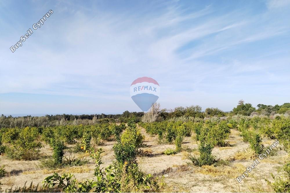 land for sale paphos municipality paphos 7949016 image 16417412