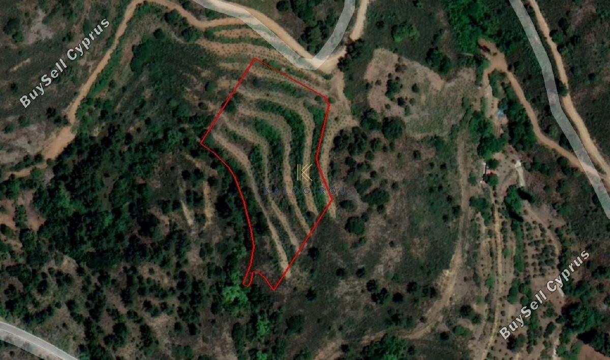 plot for sale agioi vavatsinias larnaca 1195016 image 5574302