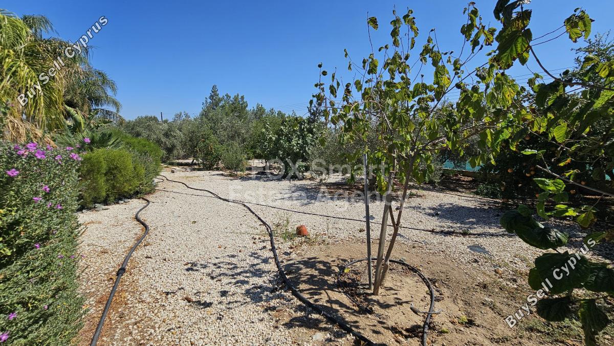 5 bedroom detached house for rent pano deftera nicosia 7580116 image 9756237