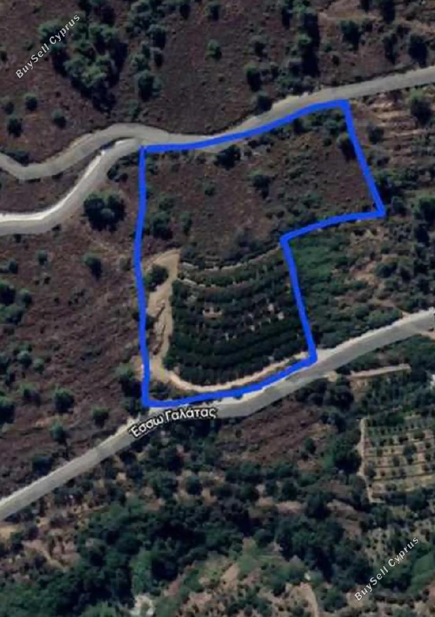 land for sale galata nicosia 1846116 image 6638875