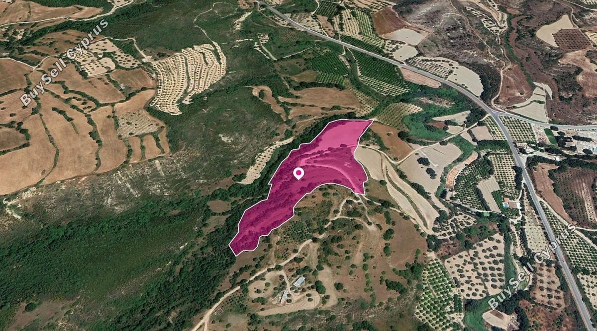 land for sale loukrounou paphos 8396116 image 14823696