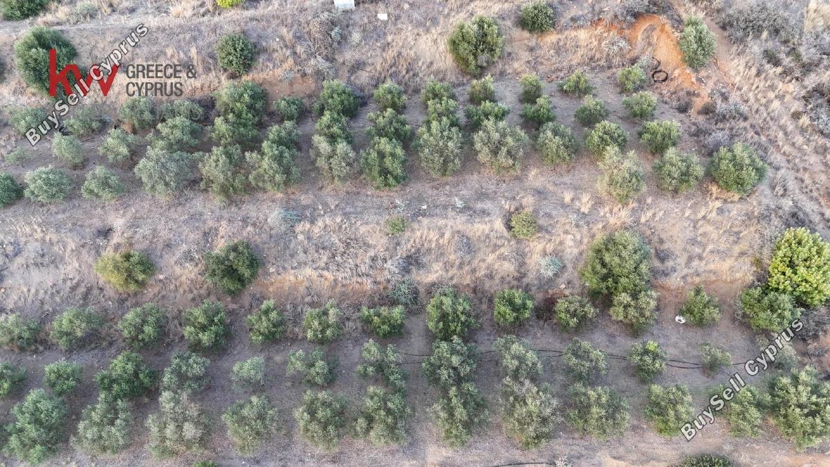 plot for sale pano lefkara larnaca 1565116 image 16121740