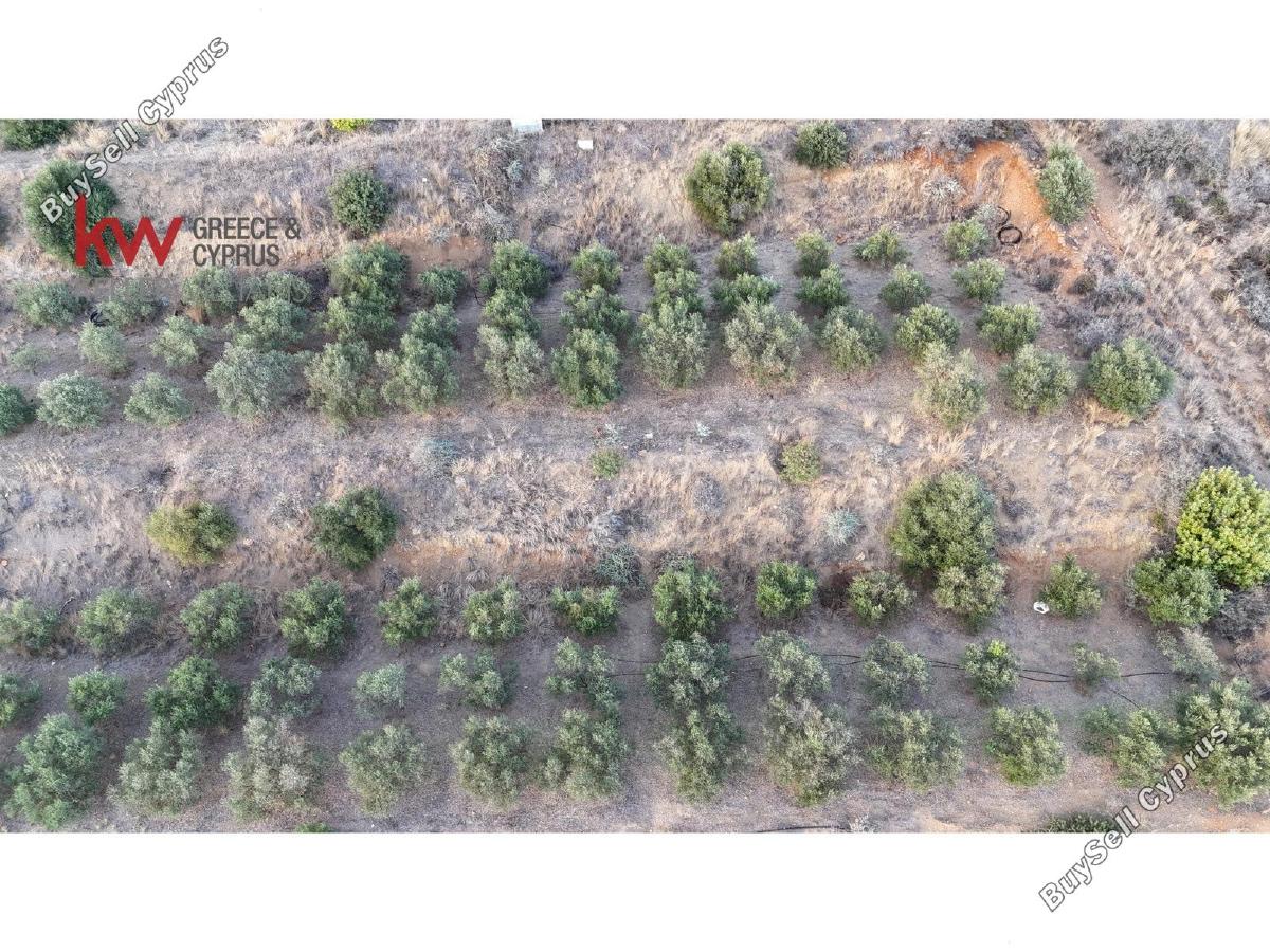 plot for sale pano lefkara larnaca 1565116 image 18420071