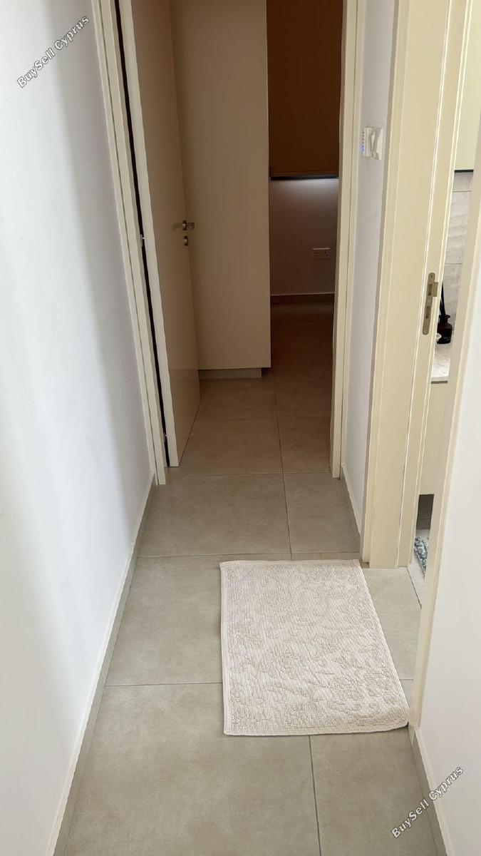 1 bedroom apartment for rent paphos municipality paphos 8870216 image 17218648