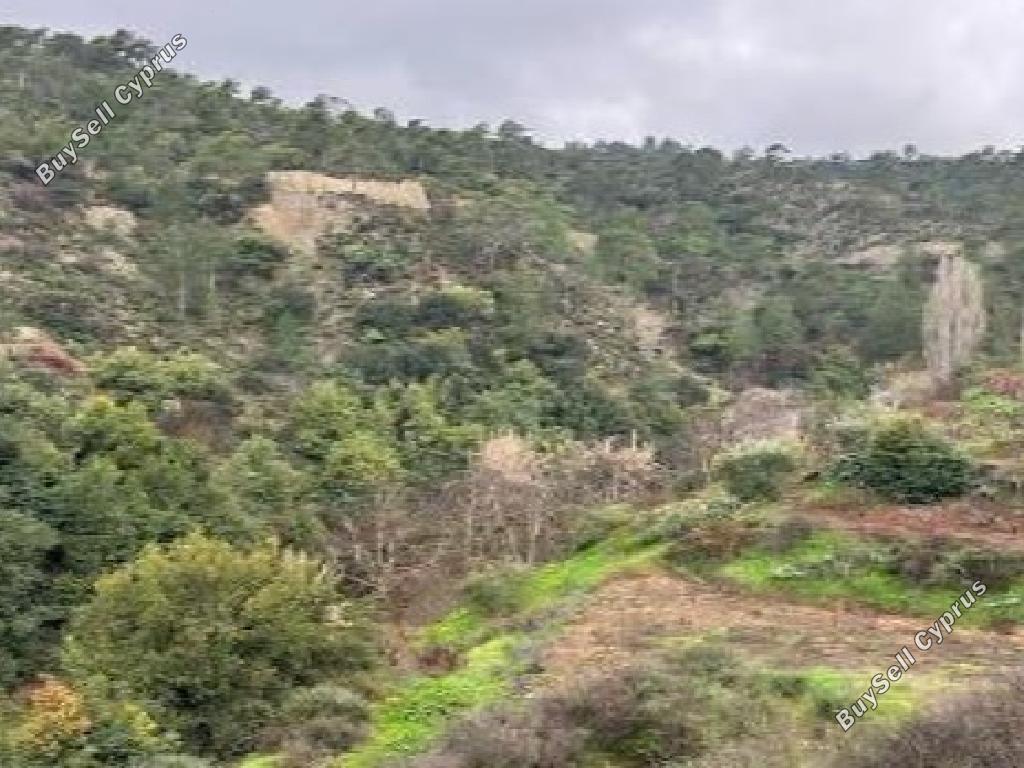 1673 SQM Land for sale in Kaliana, Nicosia 15597778