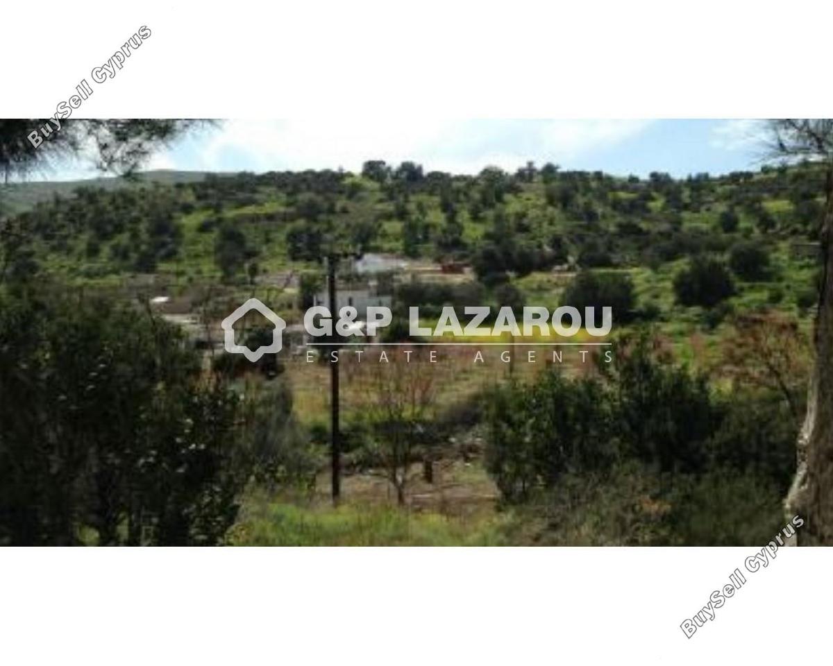 land for sale agios theodoros larnacas larnaca 1688216 image 14152677
