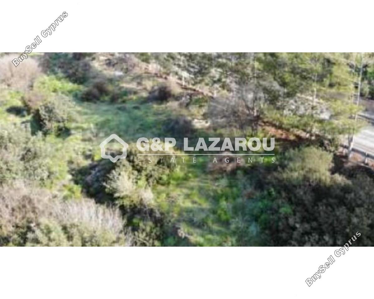 land for sale agios theodoros larnacas larnaca 1688216 image 14152679