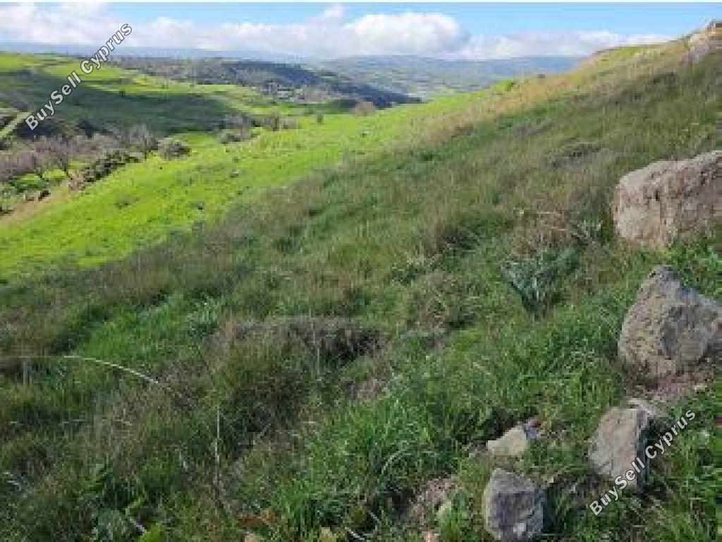 land for sale drynia paphos 1701216 image 15597019