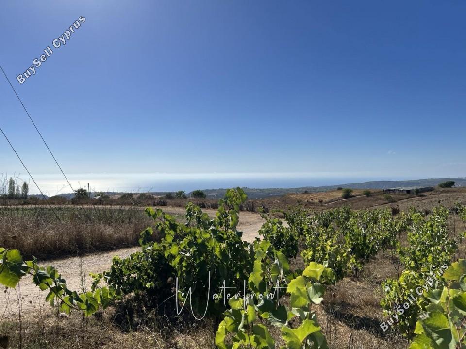 land for sale kathikas paphos 8959216 image 17779231