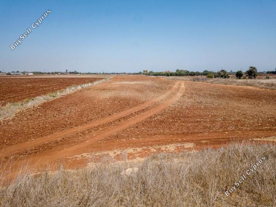 land for sale avgorou famagusta 8630316 image 15872285