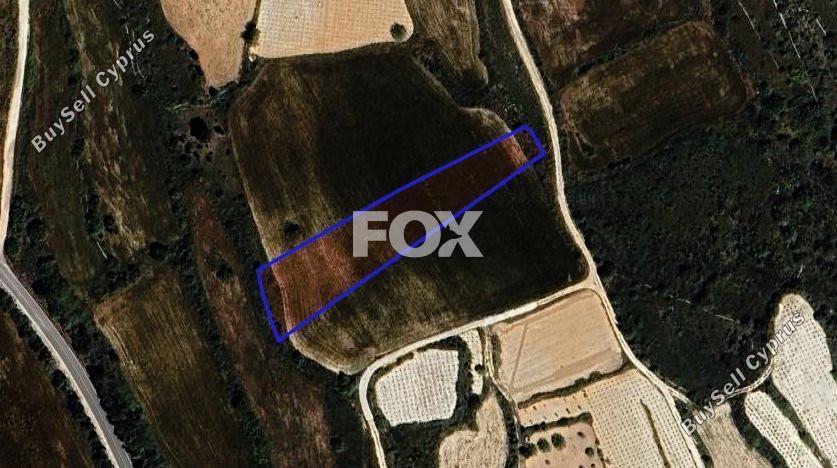 land for sale kathikas paphos 1301316 image 5588919