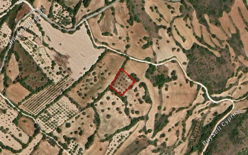 land for sale kritou tera paphos 1558316 image 3888131