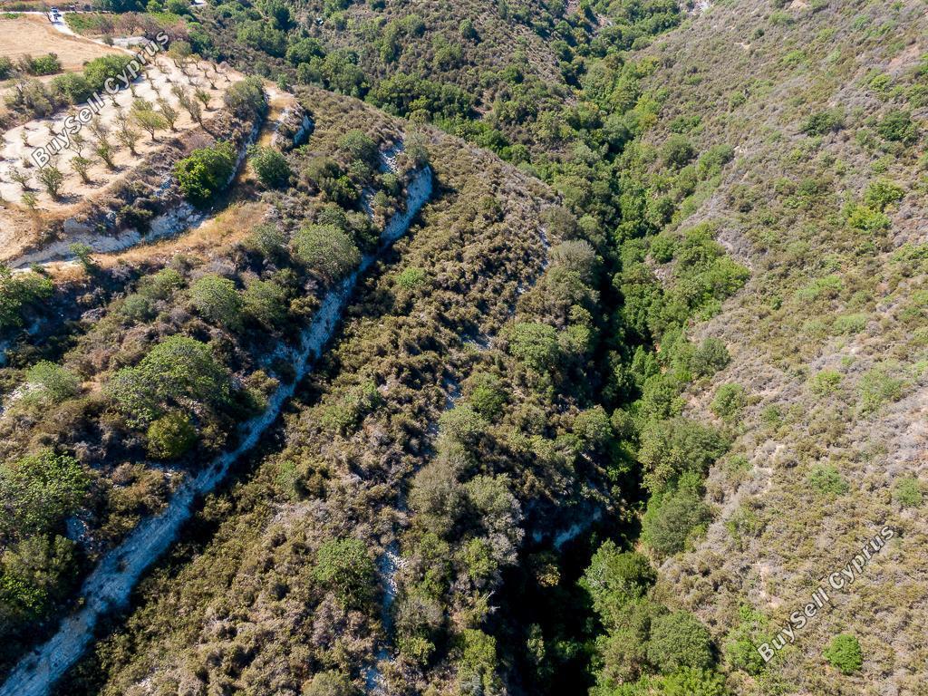 land for sale kritou tera paphos 7741316 image 15596633
