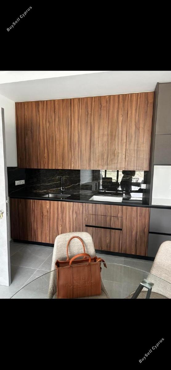 1 bedroom apartment for rent strovolos nicosia 8931416 image 17612178
