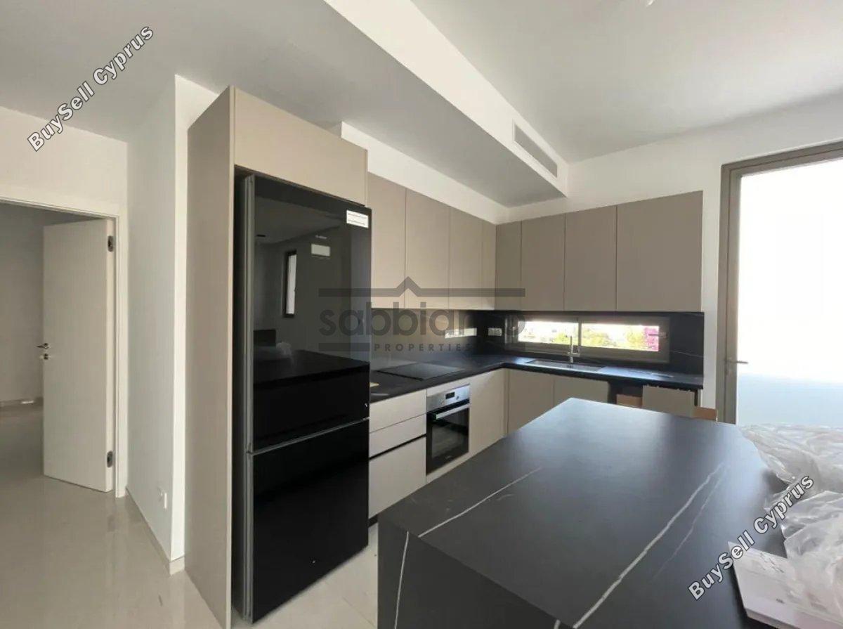 2 bedroom apartment for rent strovolos nicosia 8752416 image 16502077