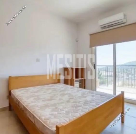 3 bedroom detached house for rent monagroulli limassol 8225416 image 14920355