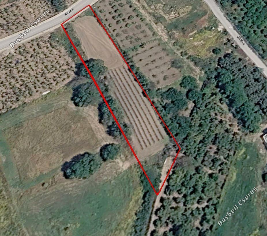 plot for sale kissonerga paphos 8681416 image 16099656