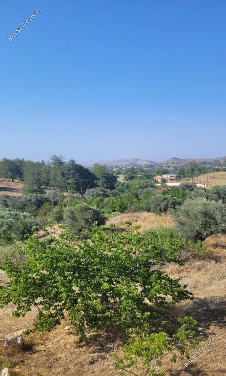 4 bedroom detached house for sale korakou nicosia 1100516 image 16246385