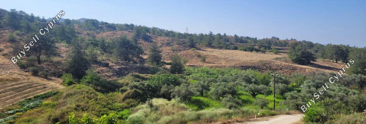 4 bedroom detached house for sale korakou nicosia 1100516 image 16246386