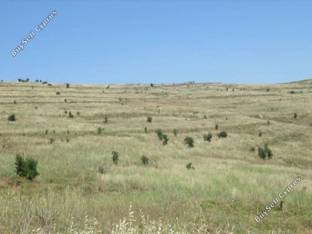 land for sale agia marina kelokedaron paphos 960516 image 15601963