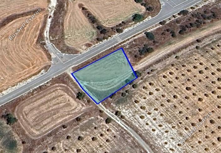 land for sale athienou larnaca 1666516 image 5854888